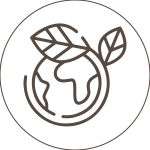 Sustainable Collections